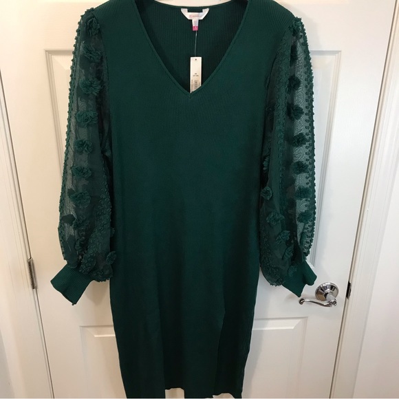 Hunter Green Sweater Dress 4X, Long Sleeve Swiss Dot Sheer Sleeve, Stretch Knit - Picture 7 of 14
